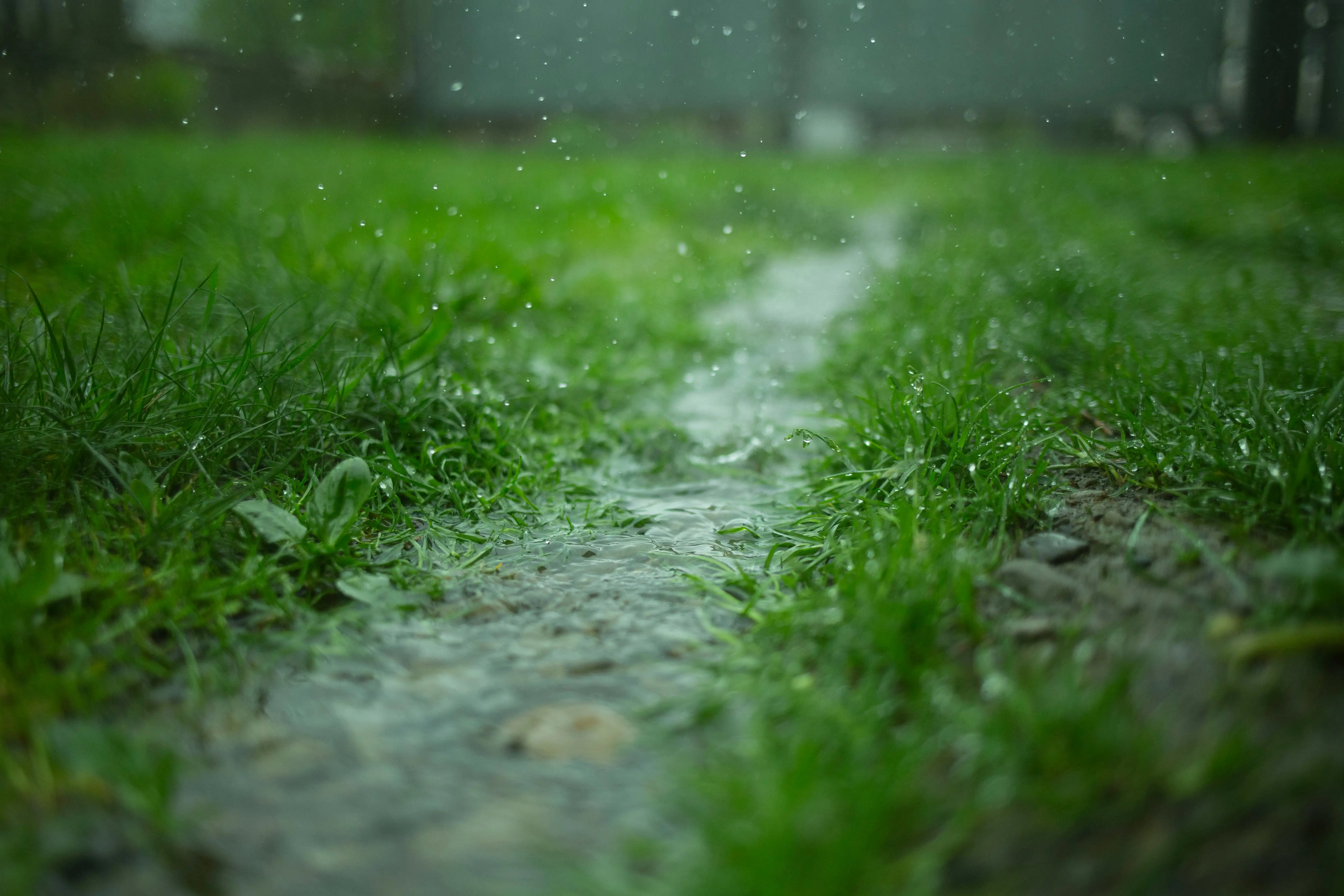 Wet Weather Ground Closures
