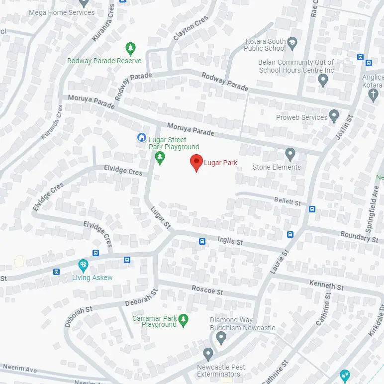 Lugar Park Playing Field